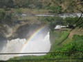 Regenbogen