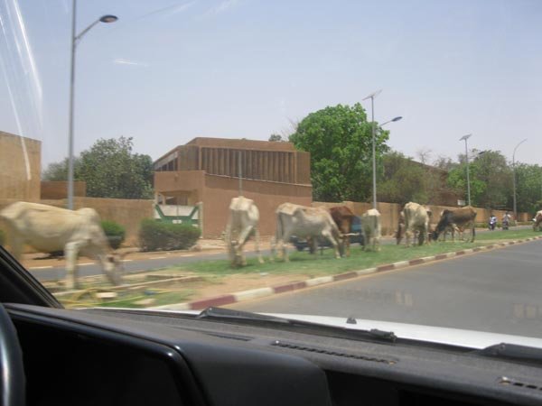 heiliigekhegibtesauchinniamey.jpg