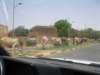 heiliigekhegibtesauchinniamey_small.jpg